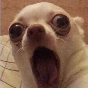 Meet your Posher, Auttie